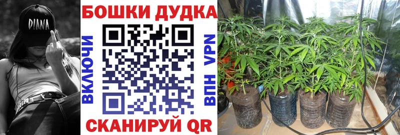 Купить закладку Няндома Канабис Псилоцибиновые грибы МЕФ