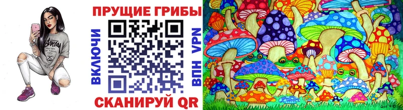 Галлюциногенные грибы GOLDEN TEACHER  купить   Няндома 