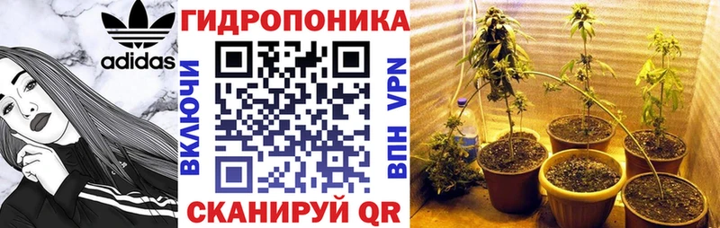 Марихуана Ganja  Няндома 